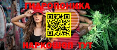 прущие грибы Кингисепп