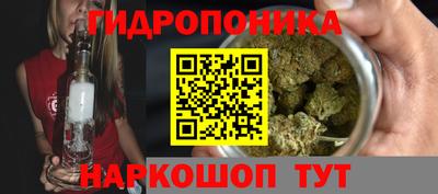 прущие грибы Кингисепп