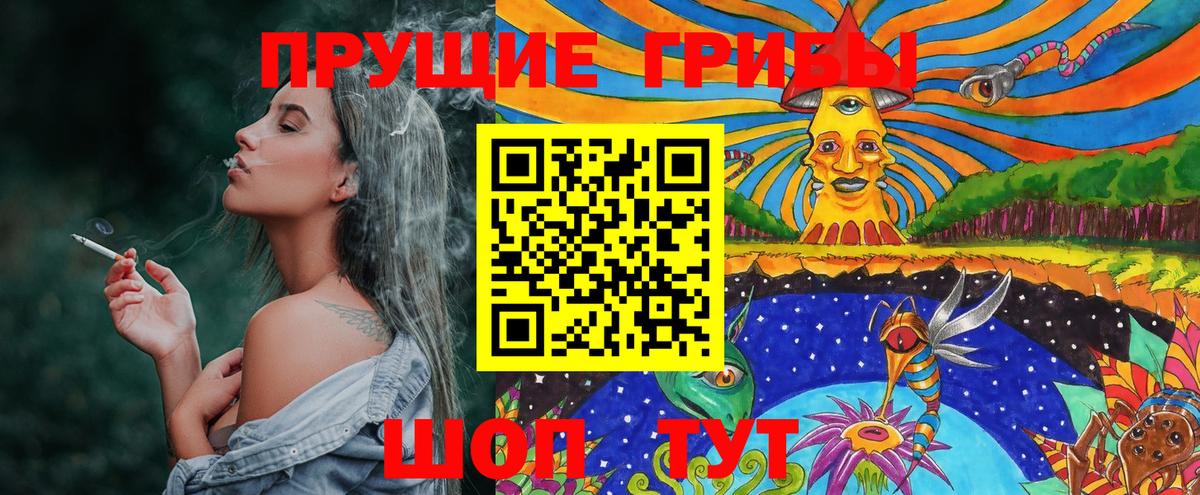 Псилоцибиновые грибы Cubensis Ярославль